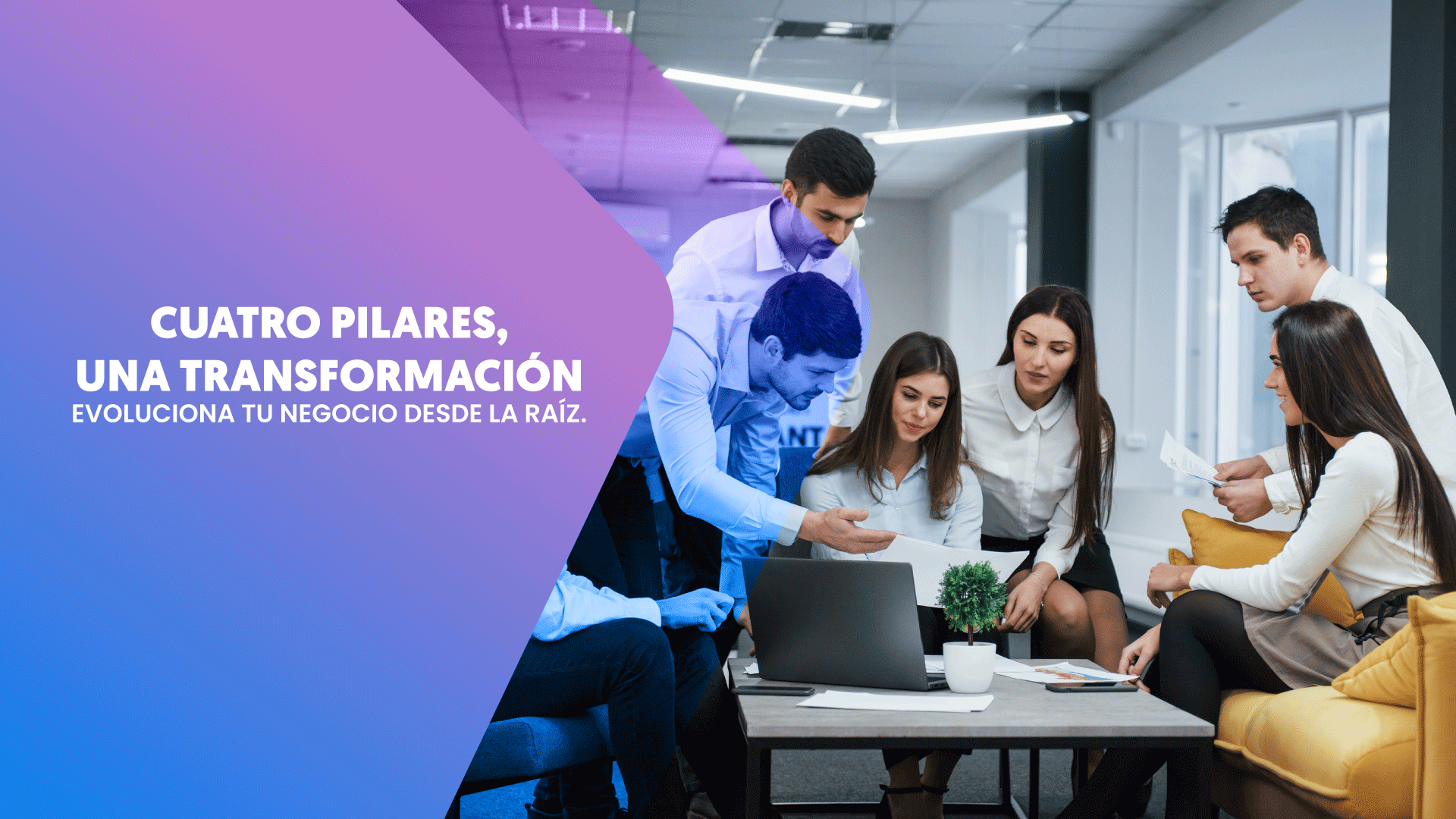 banner soluciones